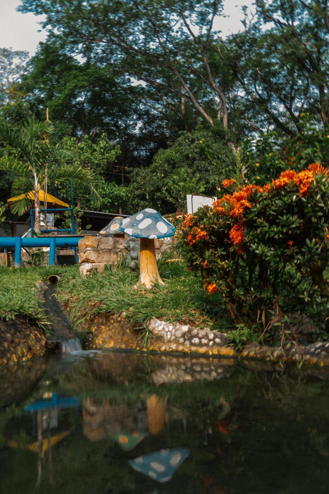 Farm stay Eco El Acuario San Jeronimo (Antioquia)