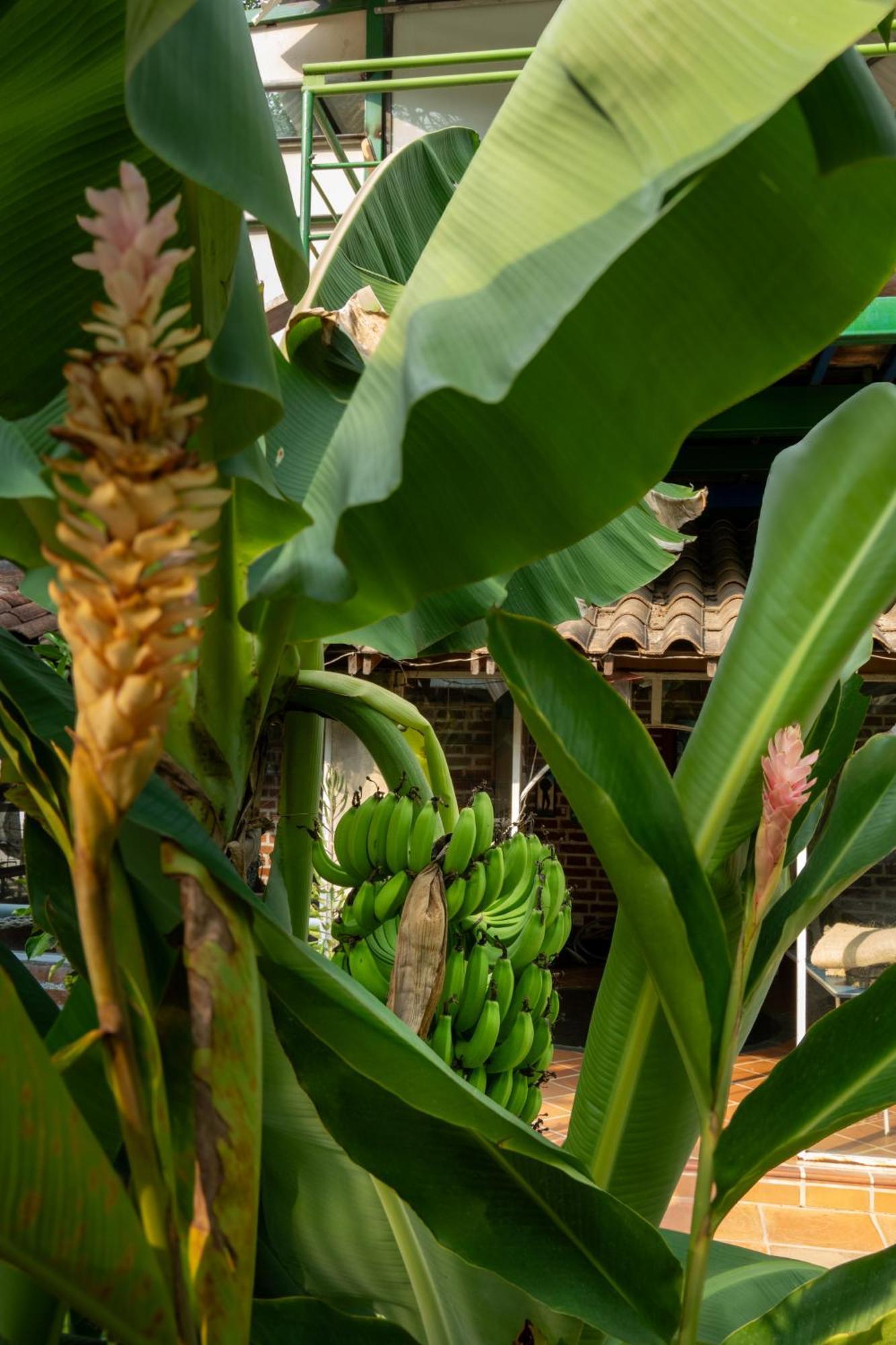 Farm stay Eco El Acuario