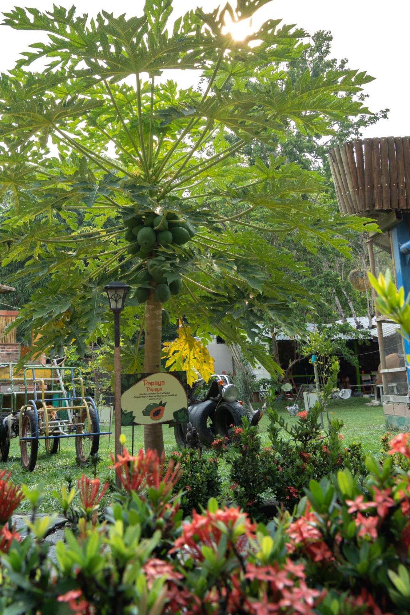 Farm stay Eco El Acuario